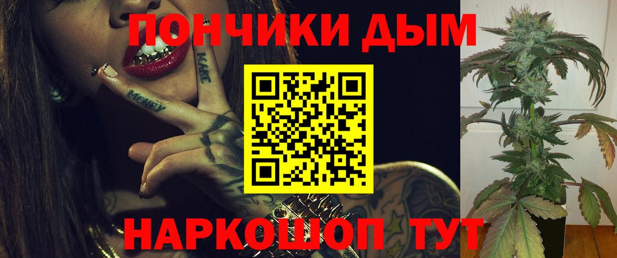 Каннабис конопля Отрадное